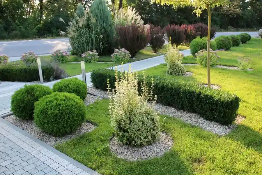 Common Lawn Issues Solved Through Regular Maintenance in Plymouth, MA Common Lawn Issues Solved Through Regular Maintenance in Plymouth, MA